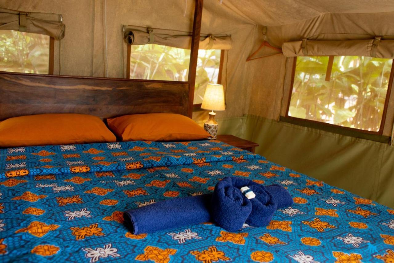 Bluemonkey Guesthouse Entebbe Bagian luar foto