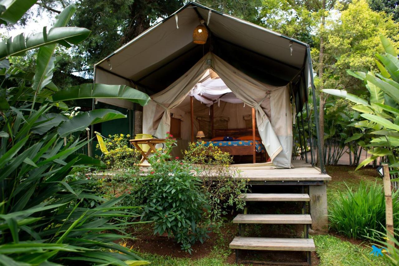 Bluemonkey Guesthouse Entebbe Bagian luar foto