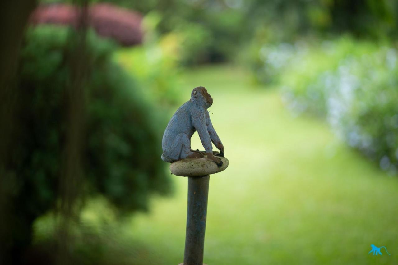 Bluemonkey Guesthouse Entebbe Bagian luar foto