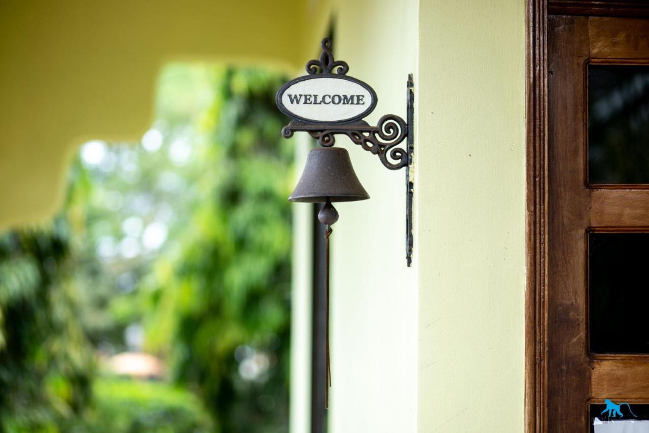 Bluemonkey Guesthouse Entebbe Bagian luar foto