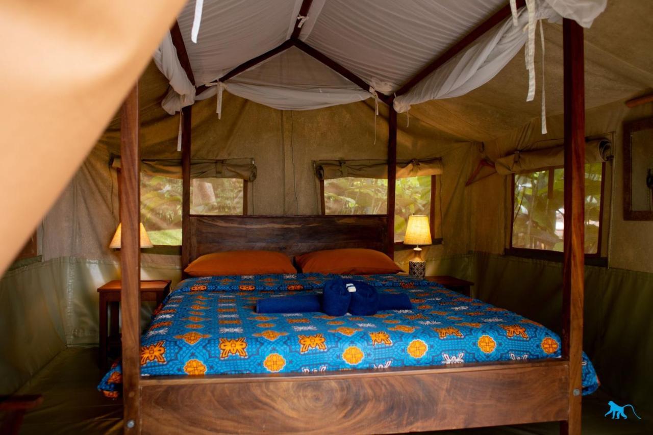 Bluemonkey Guesthouse Entebbe Bagian luar foto