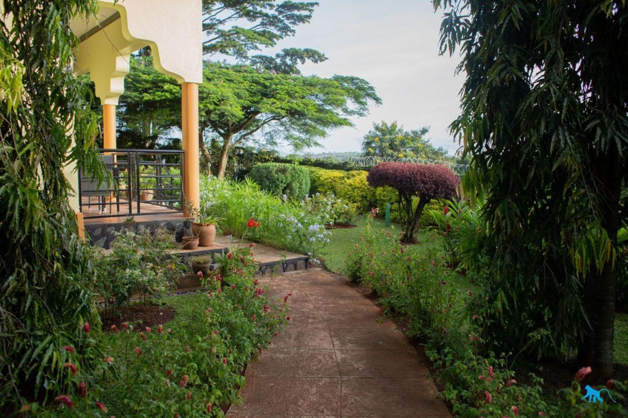 Bluemonkey Guesthouse Entebbe Bagian luar foto