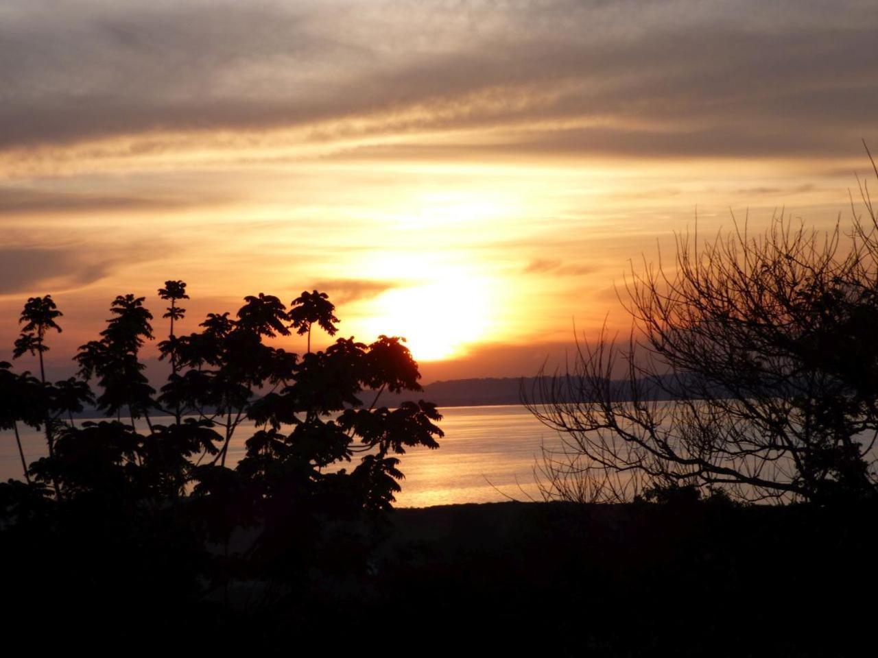 Bluemonkey Guesthouse Entebbe Bagian luar foto